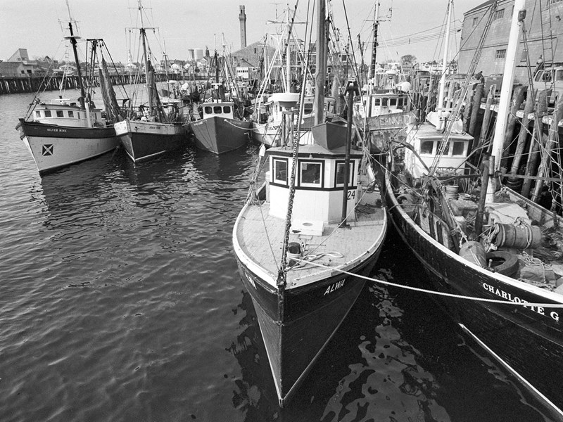 Milton Moore's Photography Explores Cape Cod's Dying Fishing Industry